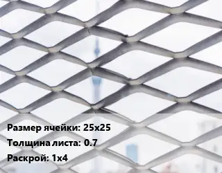 Сетка ЦПВС просечно-вытяжная 25х25 s=0.7 Раскрой: 1х4